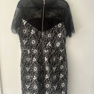 Lace illusion style Karl Lagerfeld dress with collar and gold zipper detail.